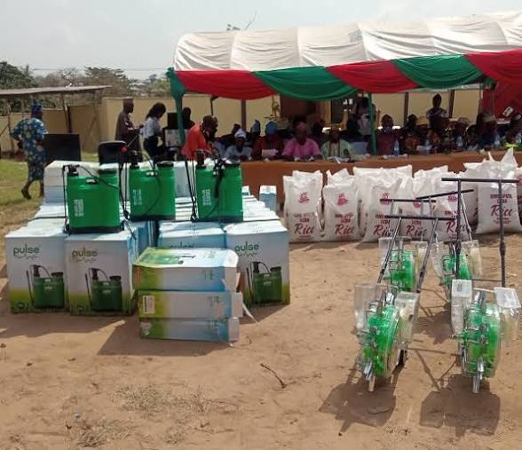 Omi-Apata LCDA Embarks on 10-Acre Rice Farming to Boost Food Security